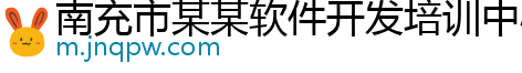 南充市某某软件开发培训中心